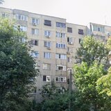 OBOR COLENTINA TEIUL DOAMNEI LANGA SECTIA 7 POL